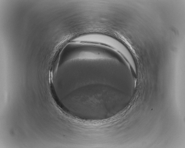 X0000116050019200911201416