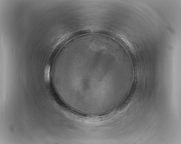 X0000116050024200911201416