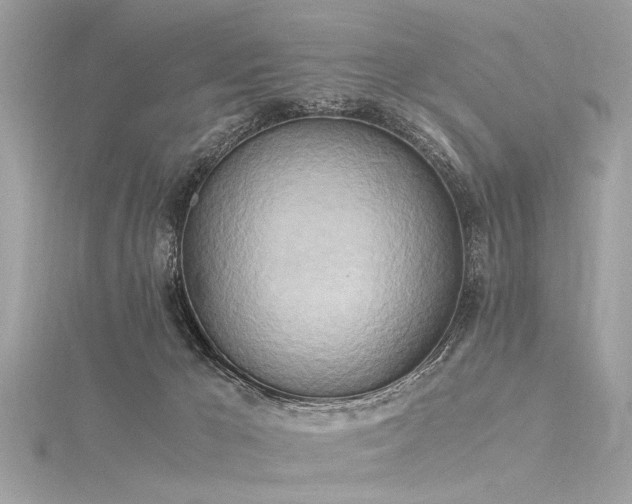 X0000116050029200911201416