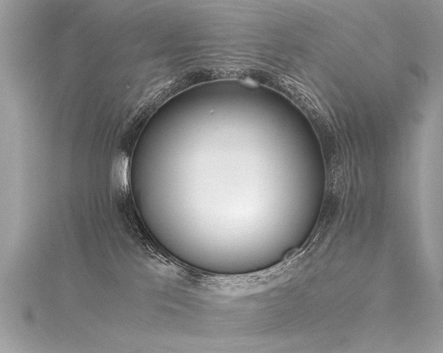 X0000116050041200911201415
