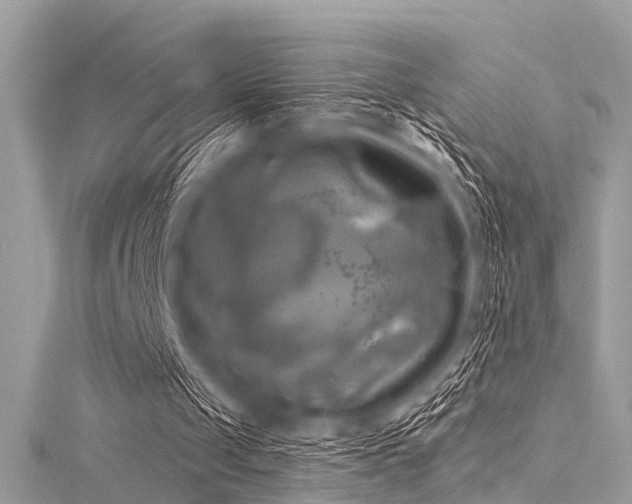 X0000116050049200911201415