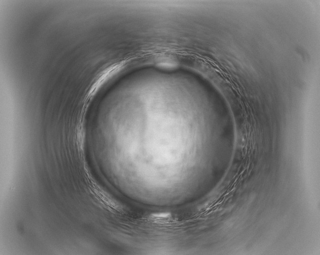 X0000116050054200911201415
