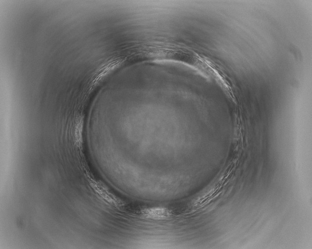 X0000116050058200911201415