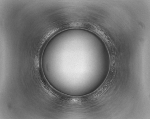 X0000116050060200911201415
