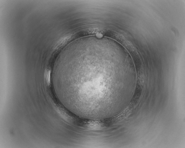 X0000116050070200911201415