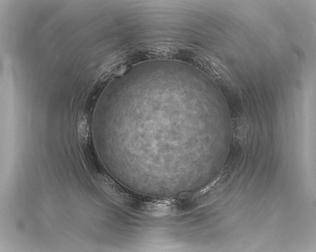 X0000116050086200911201415