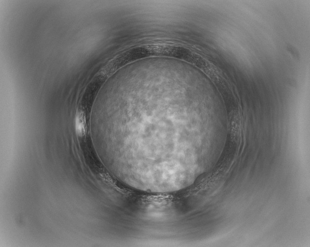X0000116050089200911201415