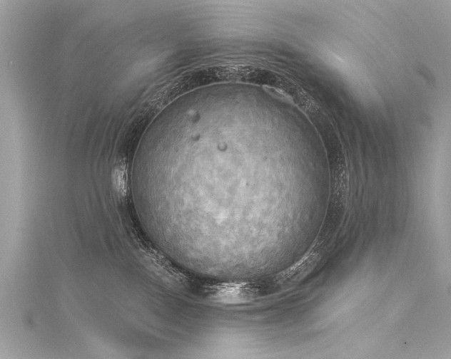X0000116050090200911201415
