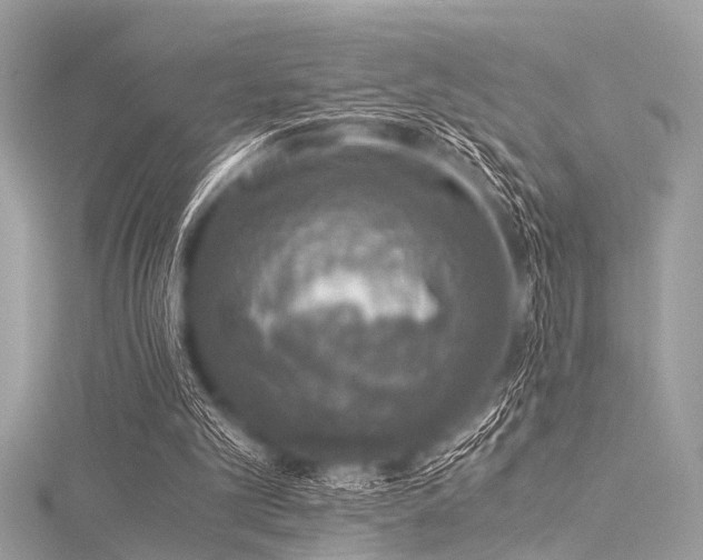 X0000116050101200911201415
