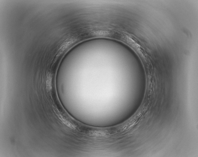 X0000116050106200911201415