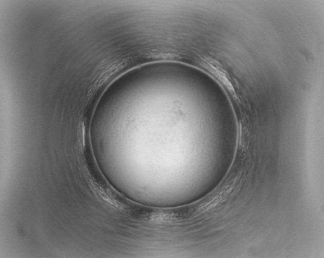 X0000116050109200911201415