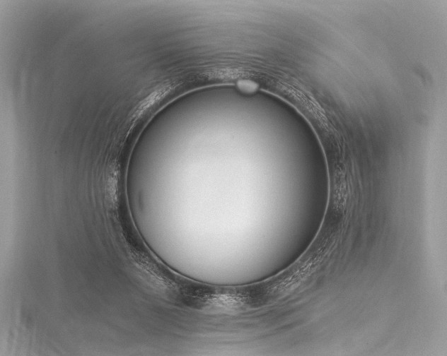 X0000116050111200911201415
