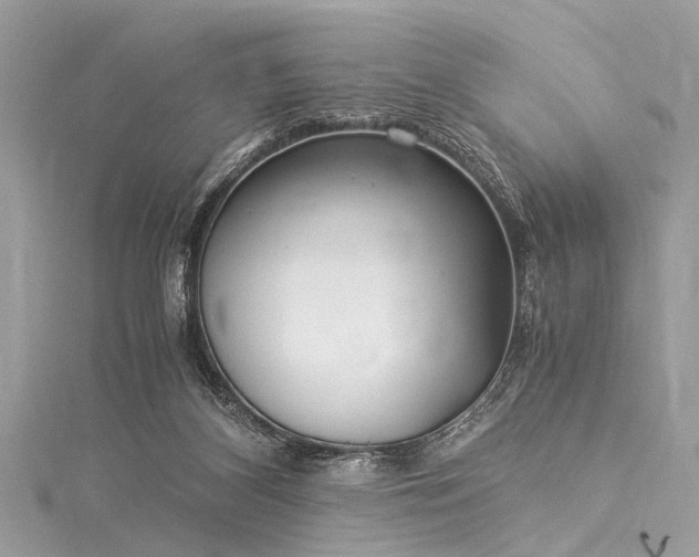 X0000116050116200911201414