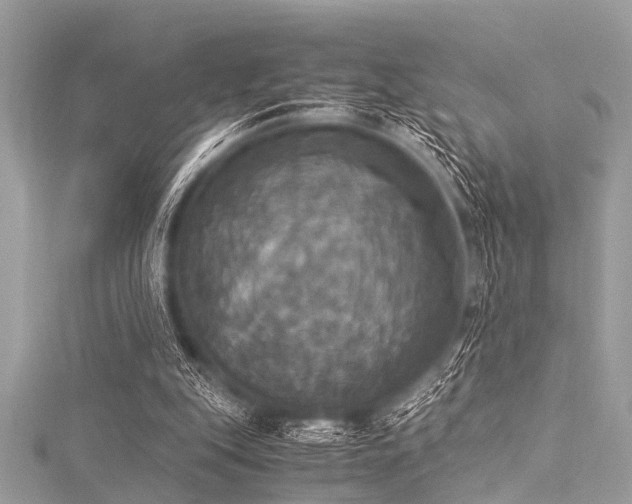 X0000116050151200911201414