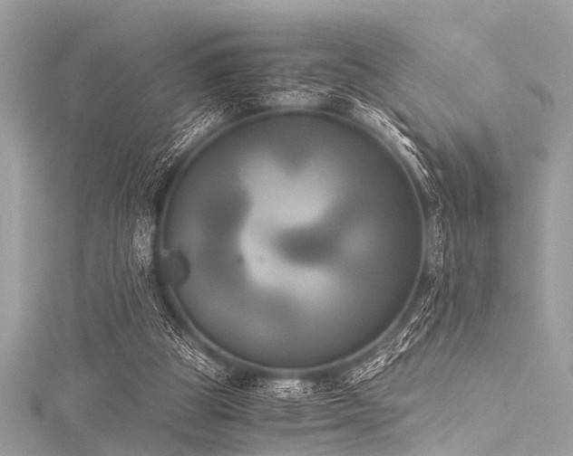 X0000116050153200911201414