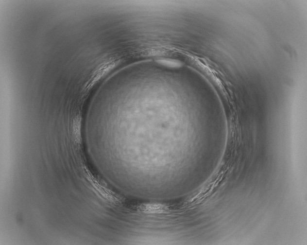 X0000116050154200911201414
