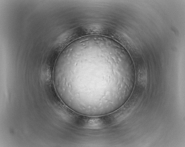 X0000116050173200911201414