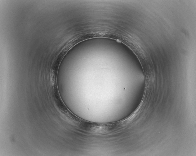 X0000116050174200911201414