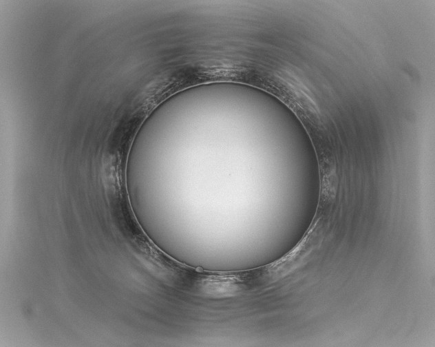 X0000116050179200911201414