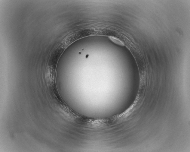 X0000116050186200911201414