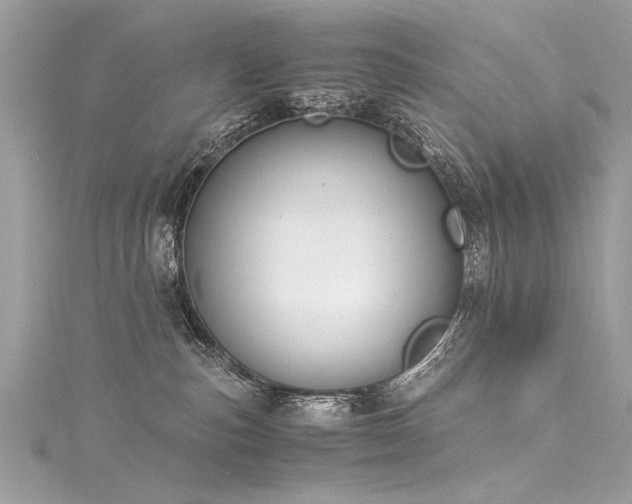 X0000116050187200911201414