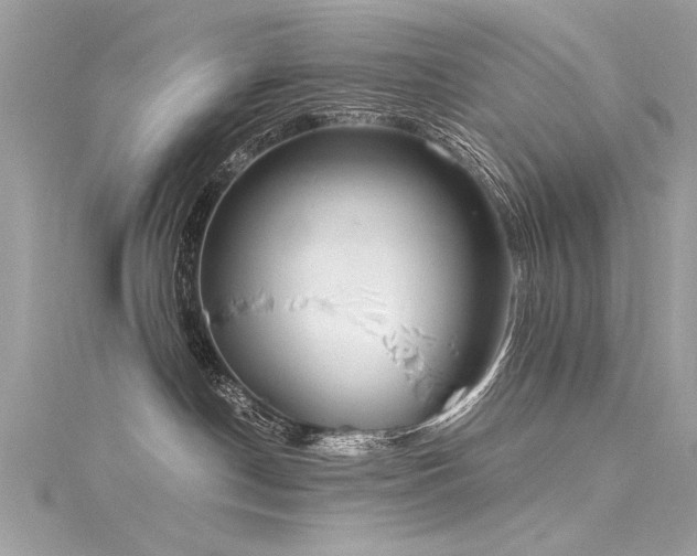 X0000116050190200911201414