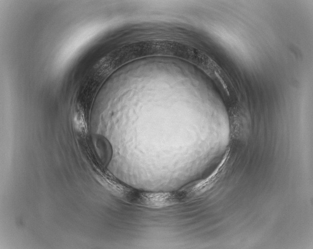 X0000116050191200911201414