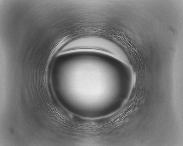 X0000116050195200911201413