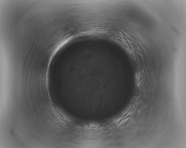 X0000116050196200911201413