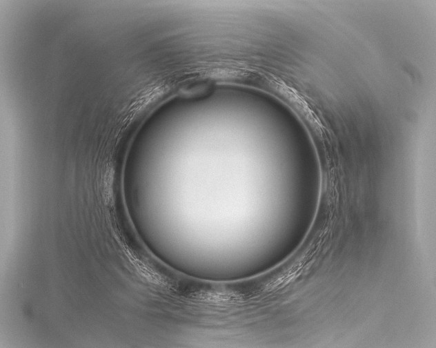 X0000116050201200911201413