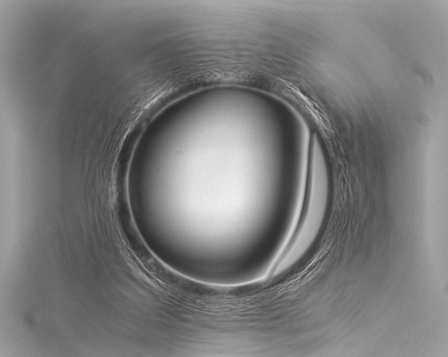 X0000116050203200911201413