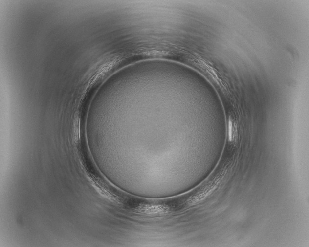 X0000116050205200911201413