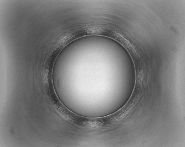 X0000116050209200911201413
