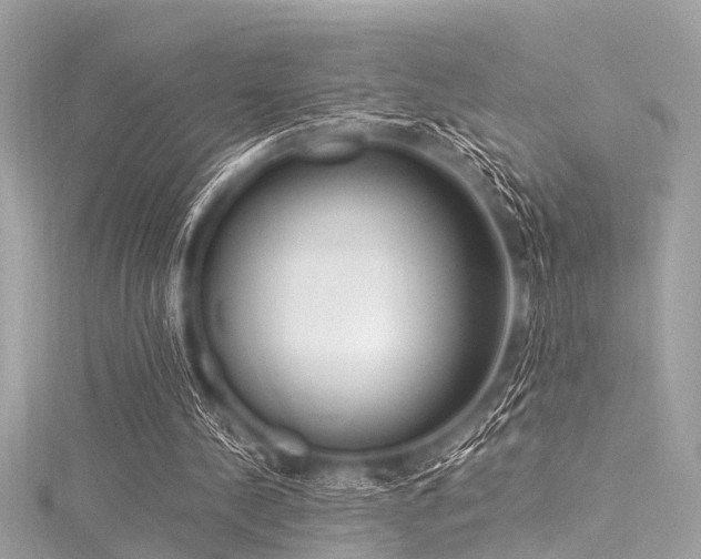 X0000116050244200911201412