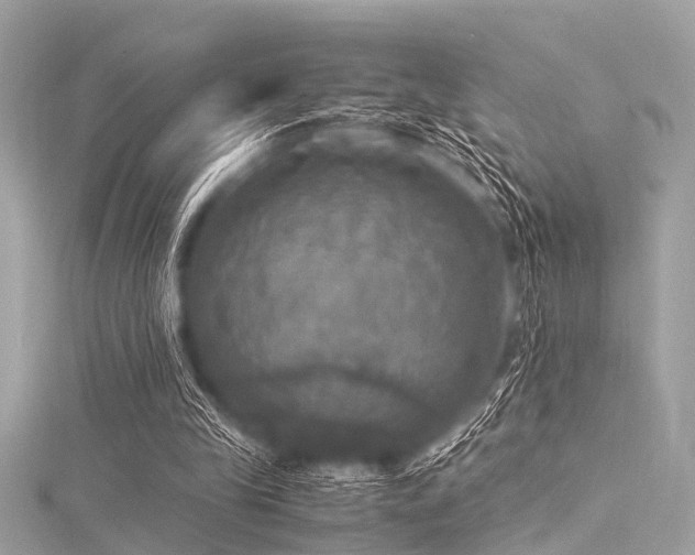 X0000116050245200911201412