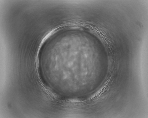 X0000116050246200911201412