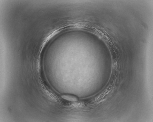 X0000116050248200911201412