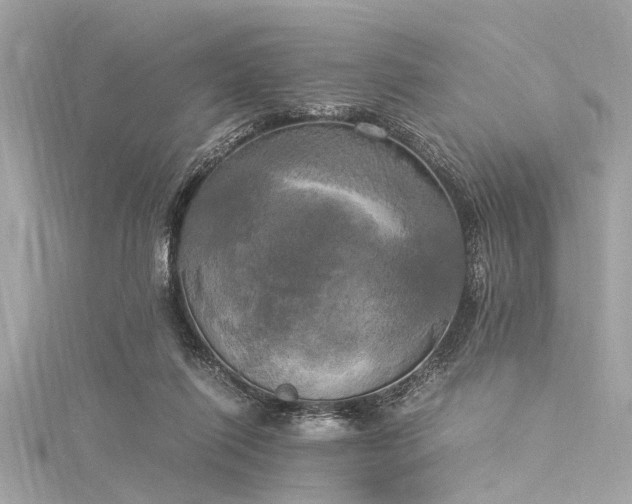X0000116050262200911201412