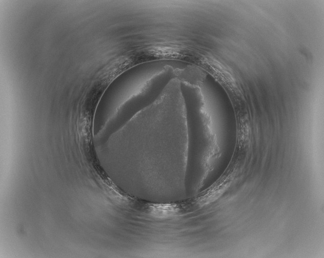 X0000116050281200911201413