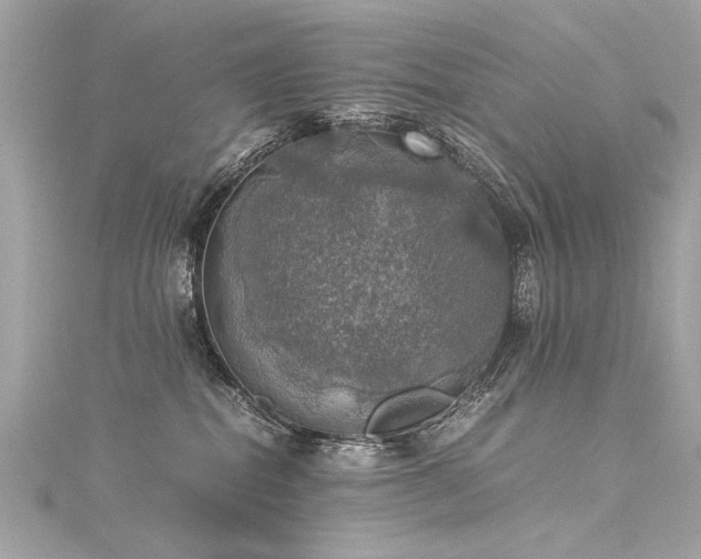 X0000116050282200911201413
