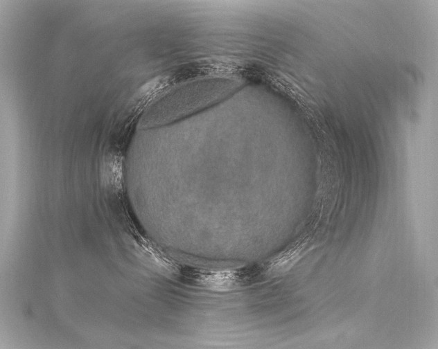 X0000116050288200911201413