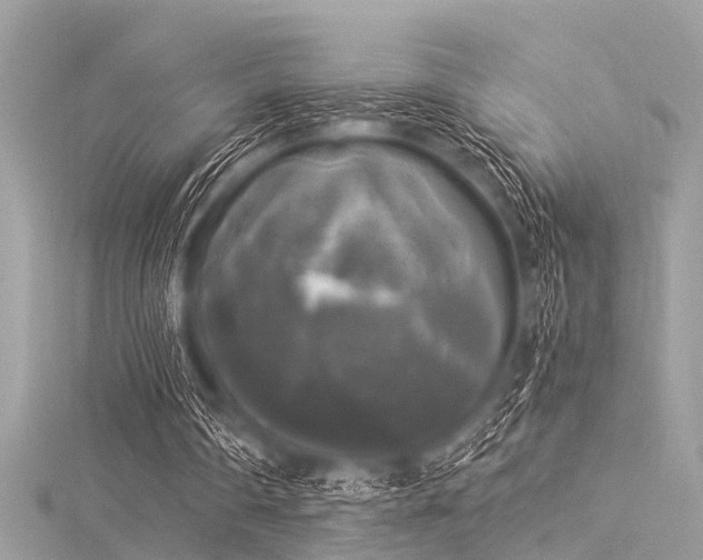 X0000116050290200911201412
