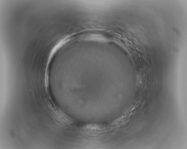 X0000116050294200911201412