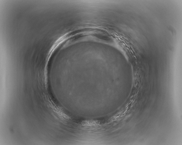 X0000116050296200911201412
