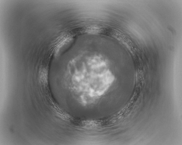 X0000116050297200911201412