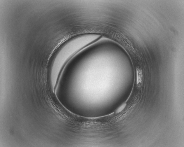 X0000116050300200911201412