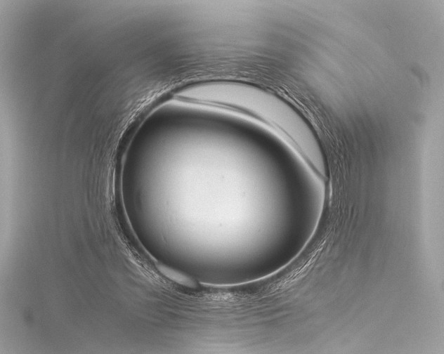 X0000116050301200911201412
