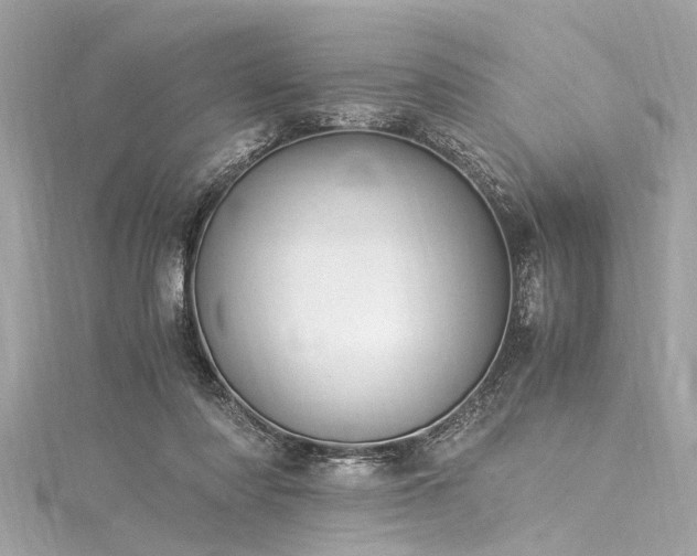 X0000116050310200911201412