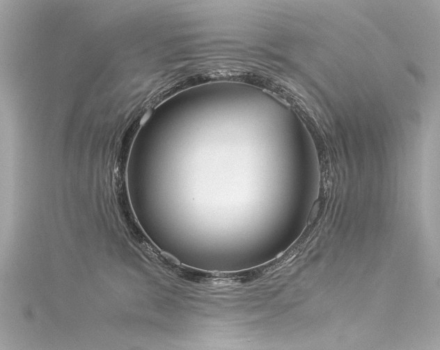 X0000116050327200911201412