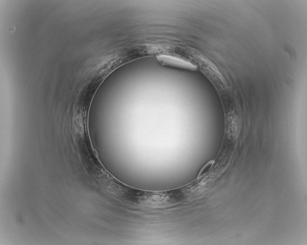 X0000116050329200911201412